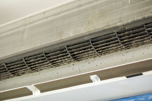 Professional Airduct Cleaning in Myrtle Grove, NC